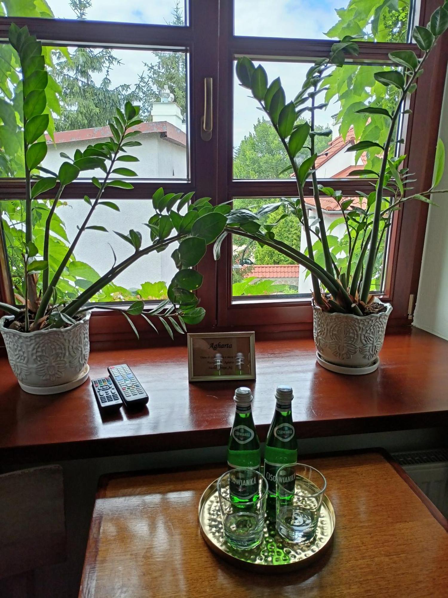 カジミエシュ・ドルニ Agharta Bed & Breakfast エクステリア 写真